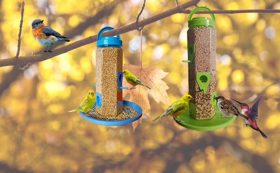 Bird Feeder
