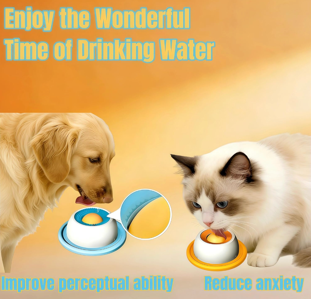 Slow Feeder Pet Bowl