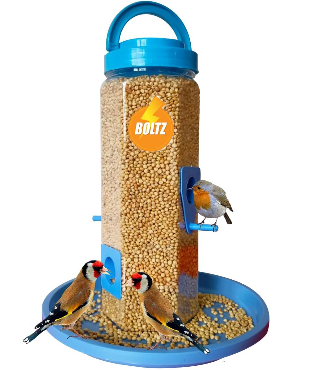 Bird Feeder