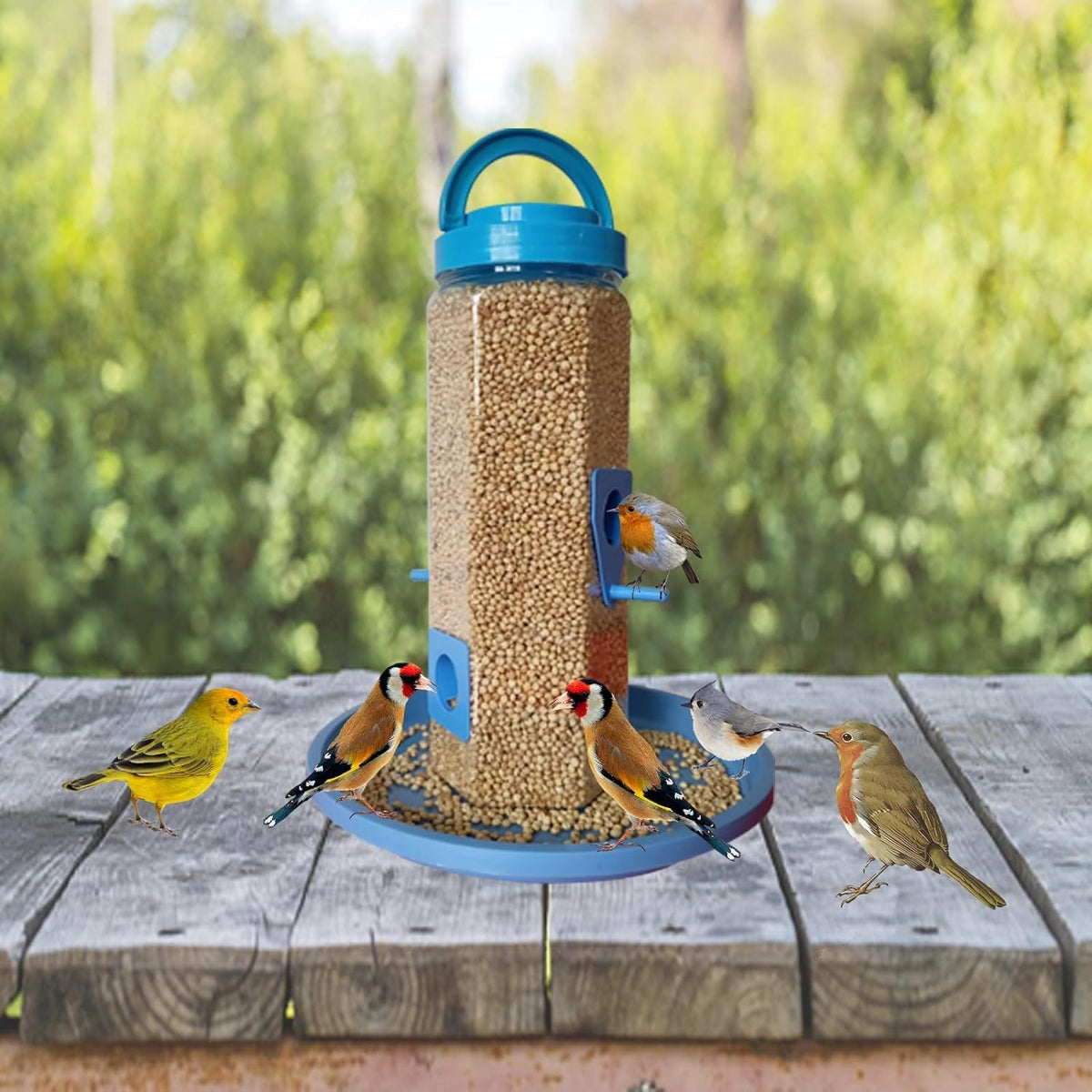 Bird Feeder