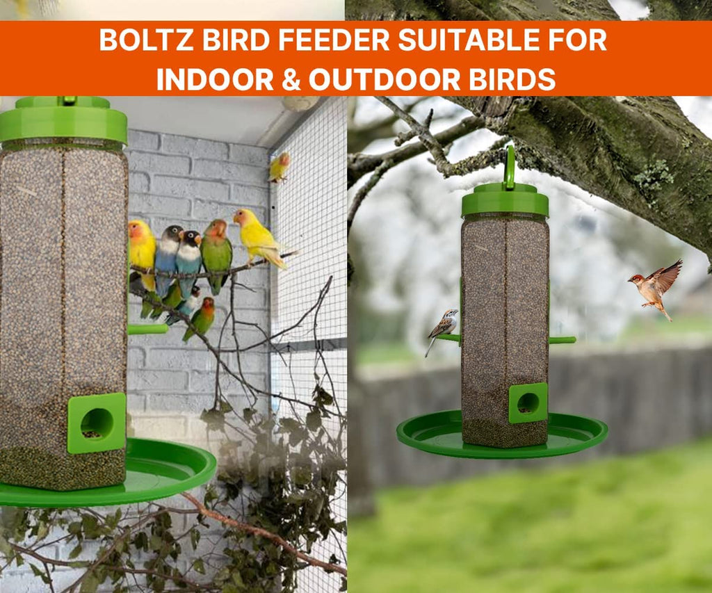 Bird Feeder