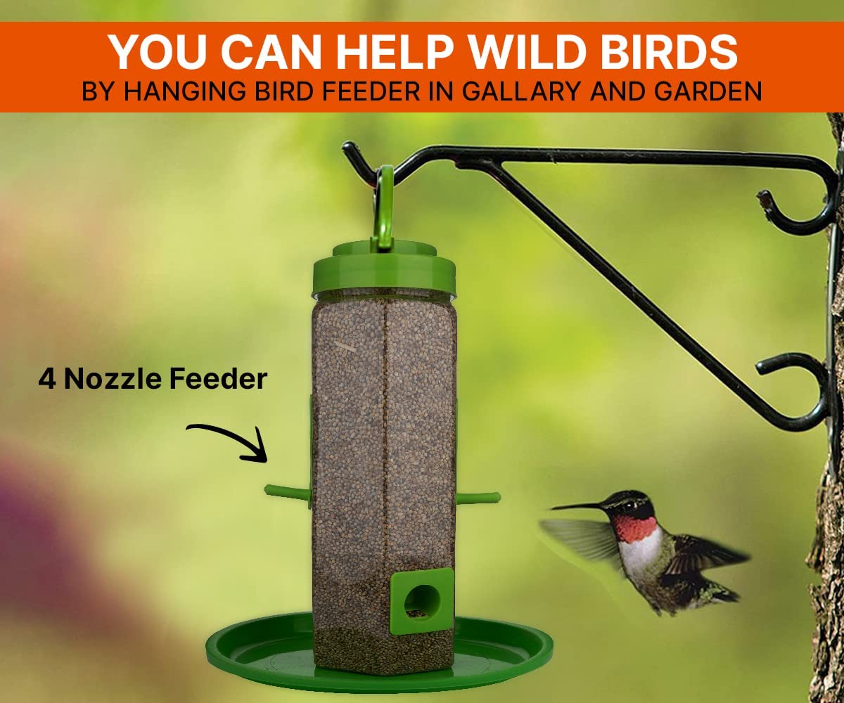 Bird Feeder