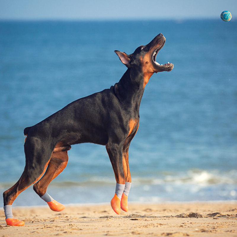 Waterproof And Anti-Slip Dog Paw Protection Shoes