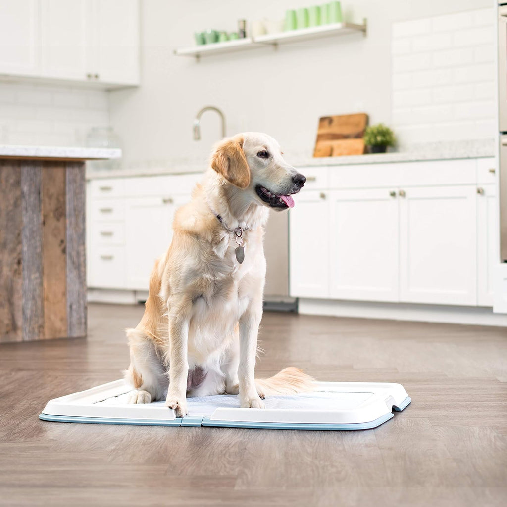Foldable Dog Toilet Tray