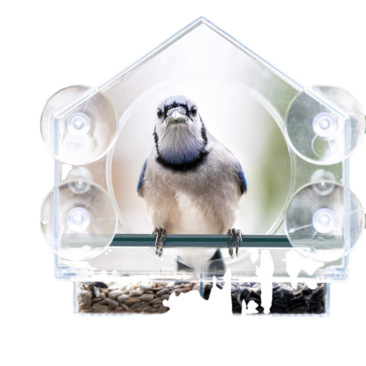 House-shaped Plastic Acrylic Bird Feeder, Acrylic Pet Bird Feeding Container