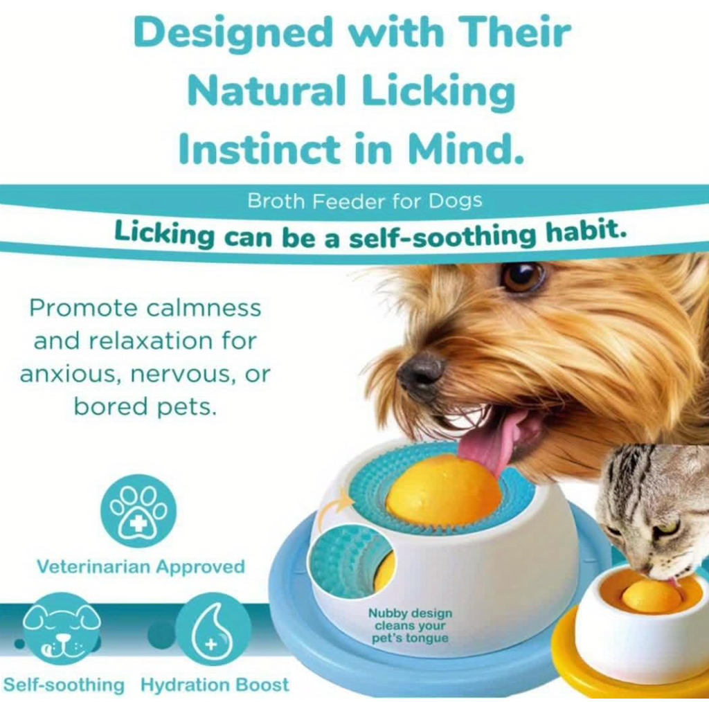 Slow Feeder Pet Bowl